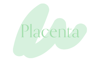 Placenta